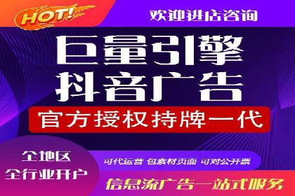 谷歌竞价广告与SEO结合的营销案例解析